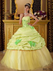 Beautiful Yellow Green Quinceanera Gown with Flowers and Ruche
