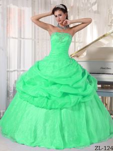 Green Ball Gown Organza Quinceanera Gown Dresses with Pick-ups ...