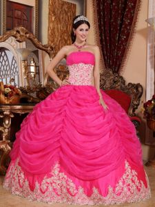 Appliqued Waist and Hem Hot Pink Sweet 16 Dresses with Pick ups